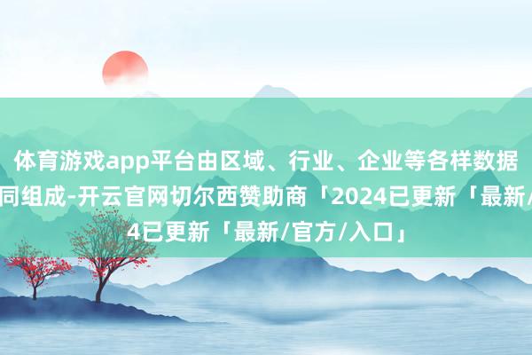 体育游戏app平台由区域、行业、企业等各样数据基础门径共同组成-开云官网切尔西赞助商「2024已更新「最新/官方/入口」