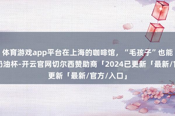 体育游戏app平台在上海的咖啡馆，“毛孩子”也能享受宠物奶油杯-开云官网切尔西赞助商「2024已更新「最新/官方/入口」